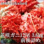 ふるさと納税 根室市 【年内配送可