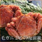 毛がに2尾 計700g前後
