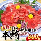 天然本マグロ 赤身 中とろ 切落し800g