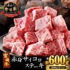 ふるさと納税 都農町 宮崎牛赤身サイコロステーキ(計600g) 肉 牛_T009-0251