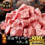 ふるさと納税 都農町 宮崎牛赤身サイコロステーキ(計800g) 肉 牛 牛肉 国産_T009-0261