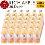 りんごジュース RICH APPLE 30本セット