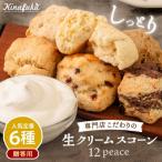 定番 スコーン 6種
