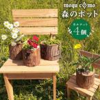 カルテット 4個