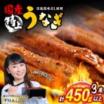 ふるさと納税 新ひだか町 国産 うなぎ蒲焼 3尾 (1尾あたり150g)