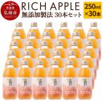 りんごジュース RICH APPLE 無添加