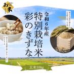 特別栽培米彩のきずな 10kg