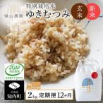 玄米 ゆきむつみ2kg