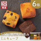 SATSUMAの恵み ミニキューブ 6個入り