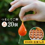 fu.... налог нить остров город [p "губа" li. яичный желток!]..... яйцо 20 шт. комплект яйцо Tama . нить остров / зеленый. сельское хозяйство .[AGA008]