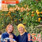 柑橘類 温州みかん ミカン 果物 くだものフルーツ