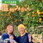 明浜産 温州みかん 約5kg