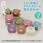 佐賀脊振高原ミルン牧場のアイスクリーム12個セット
