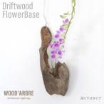 Driftwood FlowerBase