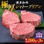 極厚 シャトーブリアン 約200g×3枚
