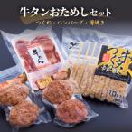 ショッピングふるさと納税 牛タン ふるさと納税 石巻市 牛タンおためしセット 冷凍 食べ比べ 詰め合わせ 牛たんつくね 薄焼き牛たん ハンバーグ  チーズ