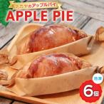 メディアで話題 アップルパイ ナカヤのアップルパイ 6個入
