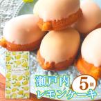 <レモンケーキ 5個