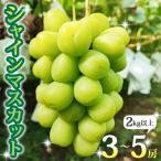 ショッピングふるさと納税 シャインマスカット ふるさと納税 東御市 【先行受付2026年発送】長野県東御市産シャインマスカット2kg以上(3〜5房)