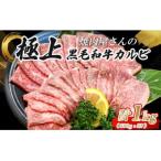 H9焼肉屋さんの極上黒毛和牛カルビ 特製醤油だれ漬け 500g×…