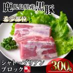 かごしま味わい黒豚シャトーブリアンブロック300g