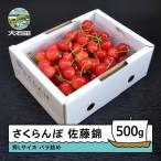 ふるさと納税 大石田町 さくらんぼ 佐藤錦 秀L 500g 2026年産 山形県 フルーツ くだもの ry-snslb500