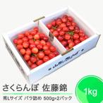 ふるさと納税 大石田町 さくらんぼ 佐藤錦 秀L 1000g(500g×2パック) 1kg 山形県 ry-snslb1000