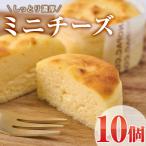濃厚ミニチーズケーキ 計10個