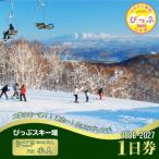2026~2027 ぴっぷスキー場1日券