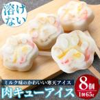 とけない肉キューアイス 65g×8個