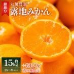 訳あり 露地みかん 2S~Mサイズ 15kg+約100g