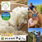 自然栽培 コシヒカリ 白米 5kg