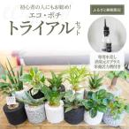 初心者の人にもお勧め エコ ポチ トライアルセット_S060-110
