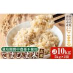 K-198-C 令和7年産 てまひま米 品種:にこまる 計10kg