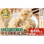 12回定期 てまひま米 玄米 品種:にこまる 計60kg