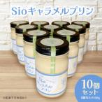 Sio キャラメルプリン 150g×10p
