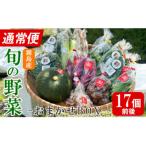 <通常便> 産の野菜おまかせBOX 17個前後