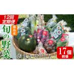 <定期便 全12回> 産の野菜おまかせBOX 17個前後