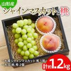 ショッピングふるさと納税 シャインマスカット ふるさと納税 山形市 シャインマスカットと桃のセット 約1.2kg 【令和8年産】FU19-712