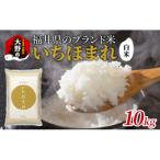 いちほまれ 白米 10kg
