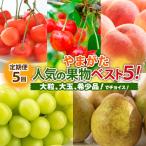 ふるさと納税 山形市 【定期便5回】やまがた人気果物ベスト5!大粒、大玉、希少品!【令和7年産】FS24-782