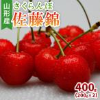 ふるさと納税 山形市 山形産 さくらんぼ 佐藤錦 400g(200g×2) 【令和7年産】FS24-804