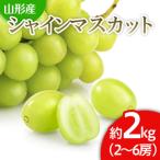 ショッピングふるさと納税 シャインマスカット ふるさと納税 山形市 山形市産 シャインマスカット 秀 2kg(2〜6房)[前半] 【令和8年産】FS24-659