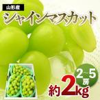 ショッピングふるさと納税 シャインマスカット ふるさと納税 山形市 シャインマスカット 秀 約2kg[9中旬〜10月中旬発送] 【令和8年産】FS24-642