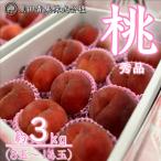 fu.... налог Yamagata город Yamagata производство белый персик превосходящий 3kg(8 шар ~14 шар ) [. мир 8 год производство ]FU23-315