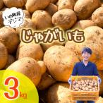じゃがいも3kg デジマ