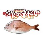 久良のまだい 2尾