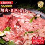 焼肉 バーベキューセット 計800g