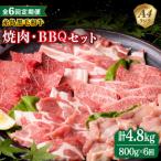 焼肉 バーベキューセット 計800g