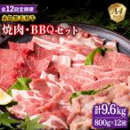 焼肉 バーベキューセット 計800g